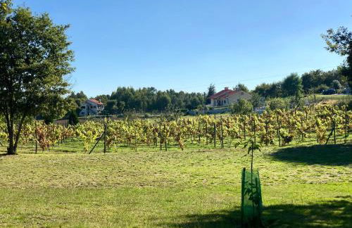 Chambre de la tour - Quinta da Prelada Simão - Foto 60