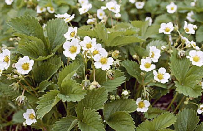 2 bedroom House in Sonkajärvi with sauna - Photo 21