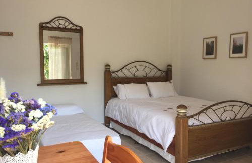 Anastasios Olive Garden Apartments - Foto 50