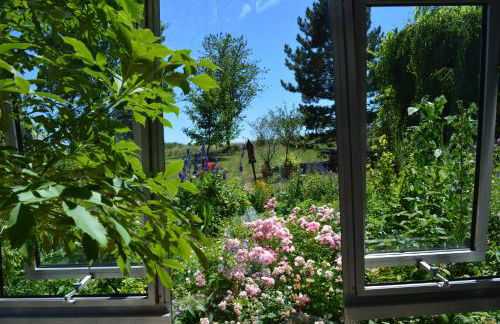 Glashaus Andres Fünf-Sterne-Ferienhaus - Foto 17