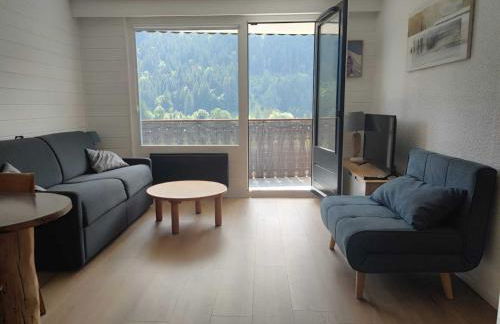 Studio central avec balcon sud et parking à La Chapelle-d'Abondance - FR-1-692-95 - Photo 7