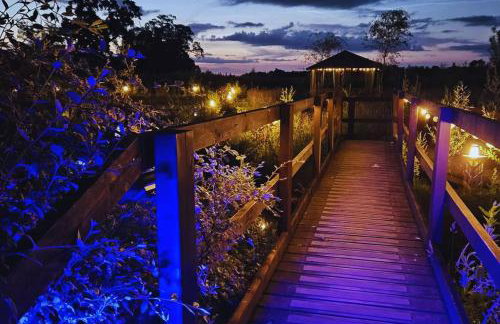 Bears House - Foto 29