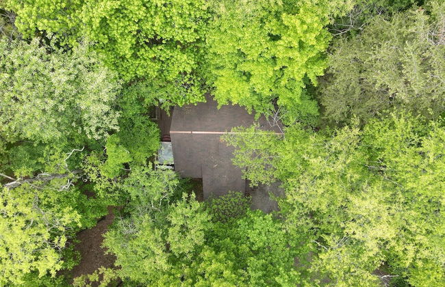 Woods Song - Natures Promise - Foto 27