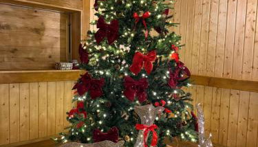 Agroturystyka Ranczo Gościszów - Foto 2