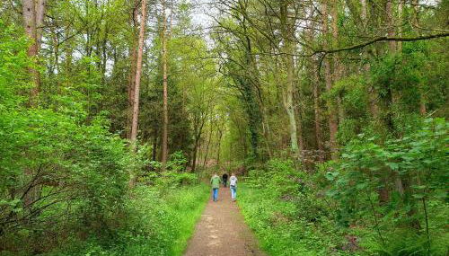 Ferienwohnung Moi Tied 35677 - Foto 2