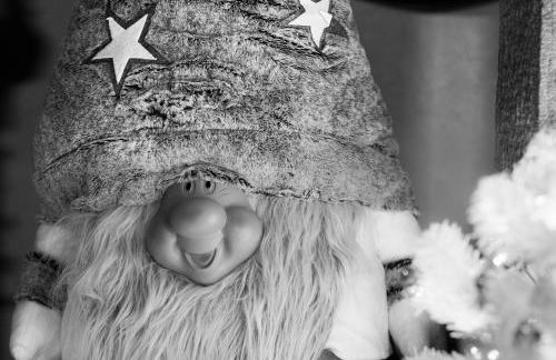 Le p'tit coin de chez nous - Foto 52