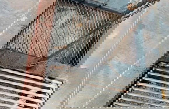 Cabañas Villa Antonella - Foto 52