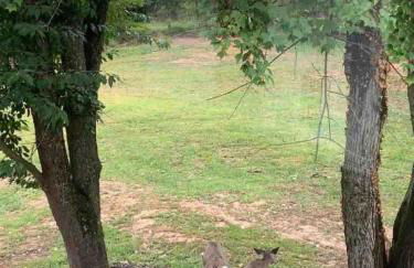 Tranquil Trio 6 BR, 4 BA, 3 Units, Deer Haven - Foto 43