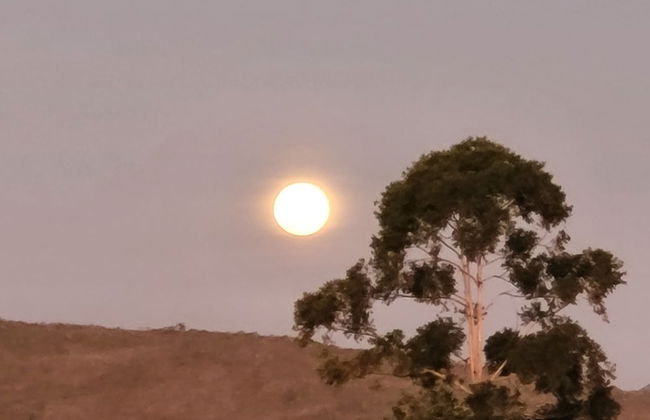 Chalés Recanto da Baleia - Photo 80