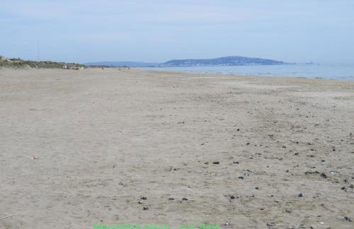 Horte neuve - Foto 57