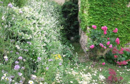 Les Genêts - Foto 28