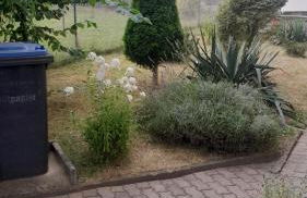 Taurasteinblick - Foto 16