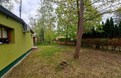 Leśna Ostoja w centrum Puszczy Nadnoteckiej otoczona 3 jeziorami - Foto 6