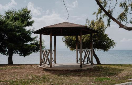 3BD Apt in The Center of Eretria - Photo 21