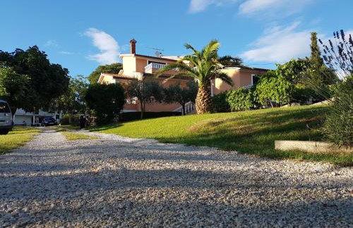 Apartman Andela - Foto 1