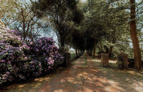 Landhaus Kurzenmoor - Tenne (410 qm) - Photo 49