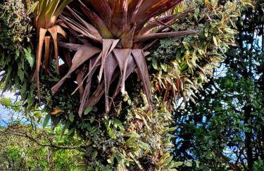 Chalé do Lopo - Photo 74