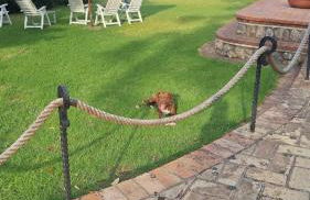 Amici di Villa Point Intera Villa - Foto 58