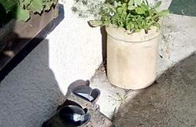 Scorrabrae Orphir Mainland Orkney South Shore Retreat - Photo 79