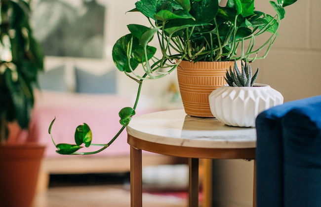 Stellar Suites - Foto 25