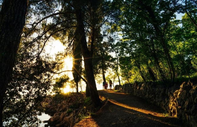 Apartment With Terrace, Sea View, Pool & Outdoor Kitchen - Foto 28