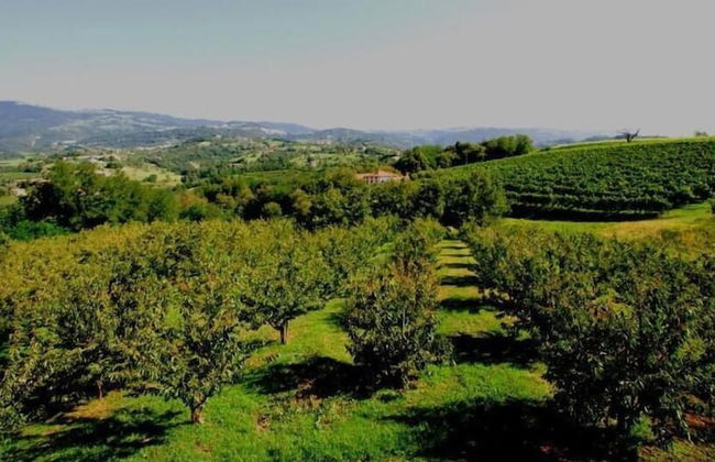 Tenuta Fortelongo - Foto 30