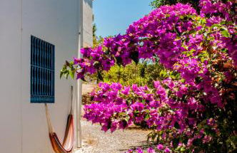 Nido Aguila Blanca - Foto 57