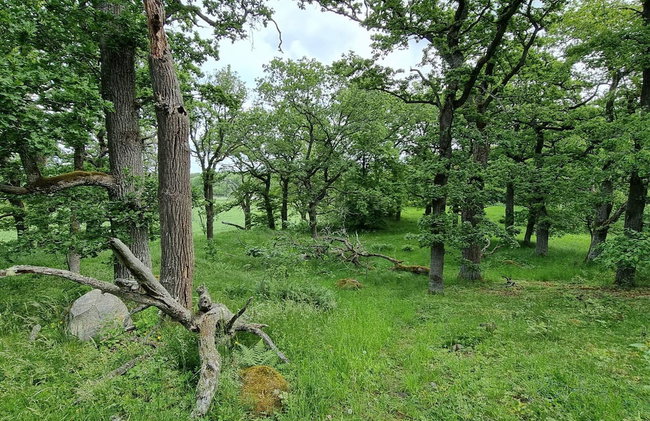 4 Star Holiday Home in Torshalla - Foto 22