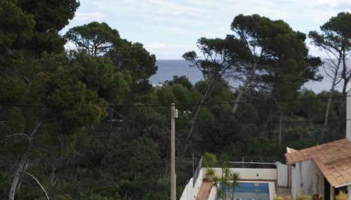 Dream House - Photo 3