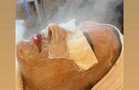 Flamboyant - Foto 27