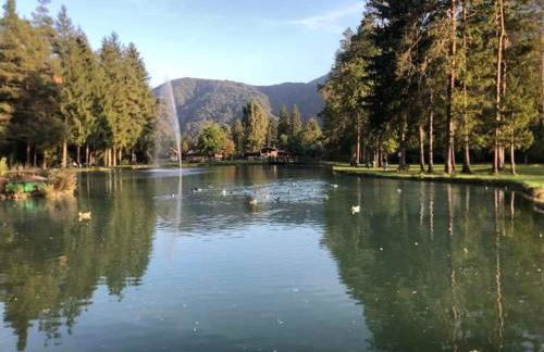 Holiday Guesthouse La Casina di Butzi pet friendly - Terme di Arta - Zoncolan - Foto 51