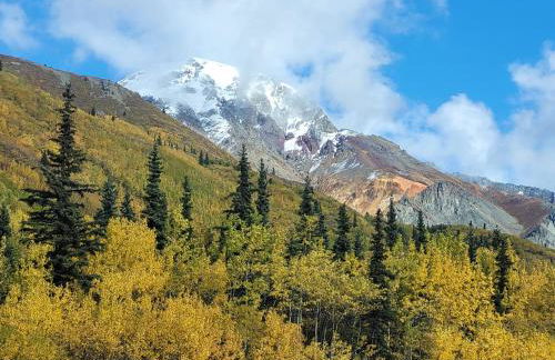 Little Bear Getaway Cabins - Foto 7