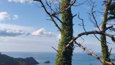Nature et Bord de Mer - Foto 2