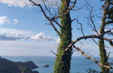 Nature et Bord de Mer - Foto 2