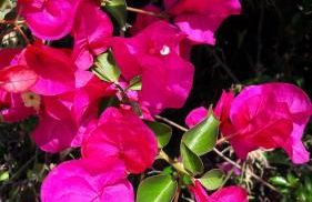 vistas a mar, en paraje natural - Foto 64