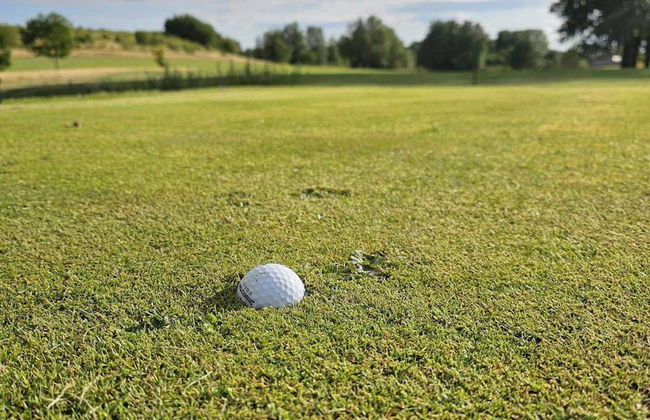 4 Star Holiday Home in Hollviken - Foto 13