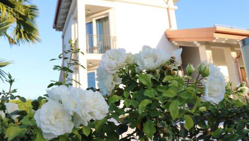 Agriturismo La Torretta - Foto 4