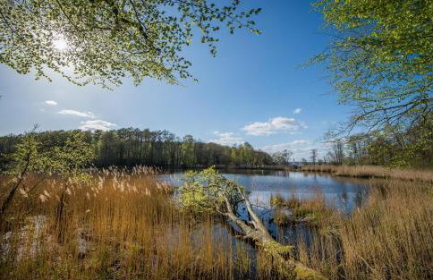 Ferienhaus Neumann - Foto 9