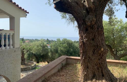 Olive stone Villa - Foto 39