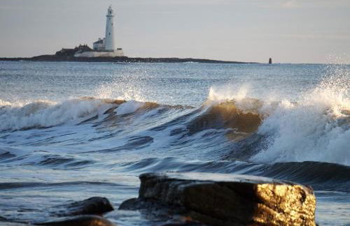 Marden Mews - Photo 30