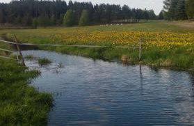 Agroturystyka Sominy - Foto 44