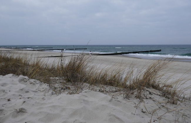 Holiday Apartment Palais am Park - Foto 14