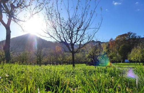 Baumanns Landhaus Durbach - Foto 56