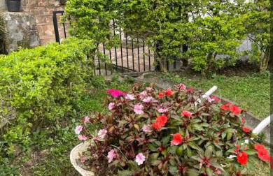 Quitinete 2 - Melhor custo x benefício - Photo 2