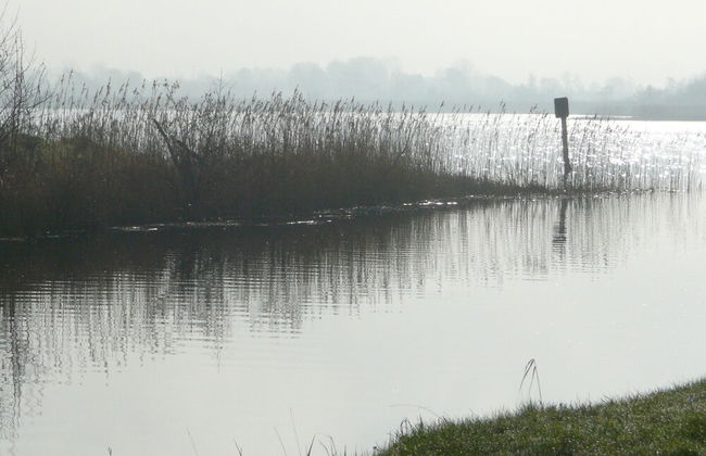 Inviting 4-bed House in Strokestown - Photo 12