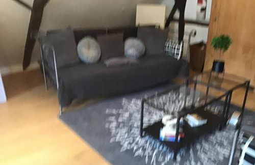 Ferienhaus-Barz - Foto 33