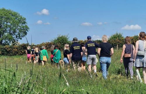 The Alpaca Farmhouse with hot tub and alpaca experience included - Foto 10