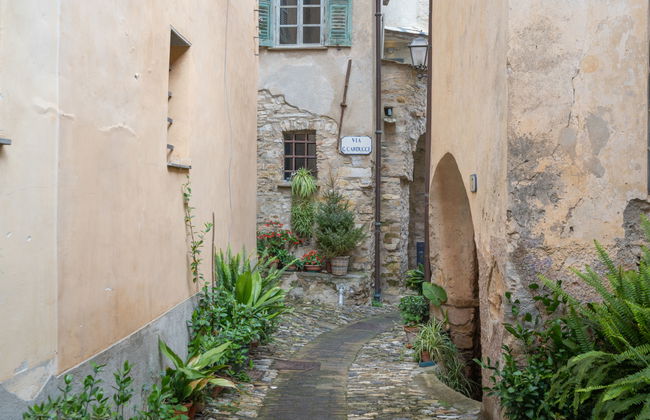 Rosetta (TOP131) - Foto 18