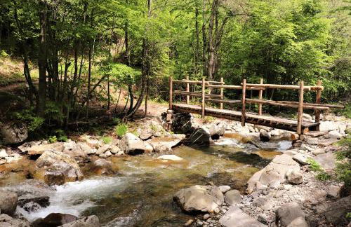 LA CASETTA DELLA NONNA - Photo 63