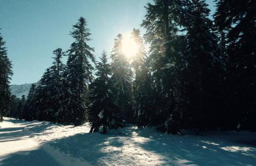 Gite Du Montagnol A Payolle - Foto 20